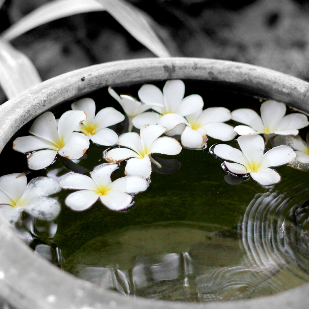 L’olio di Monoi: un elisir tropicale dalle proprietà rigeneranti e profumate